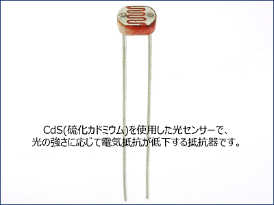 照度測定用CdSセル(光センサー)：GL5528　1MΩ