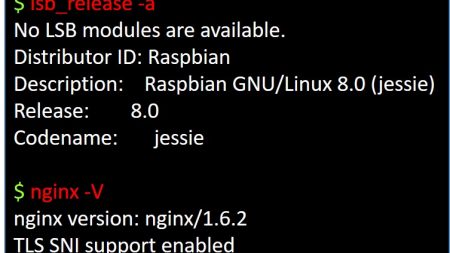 Raspberry Pi nginx で構築した Web サーバーのバージョンアップ
