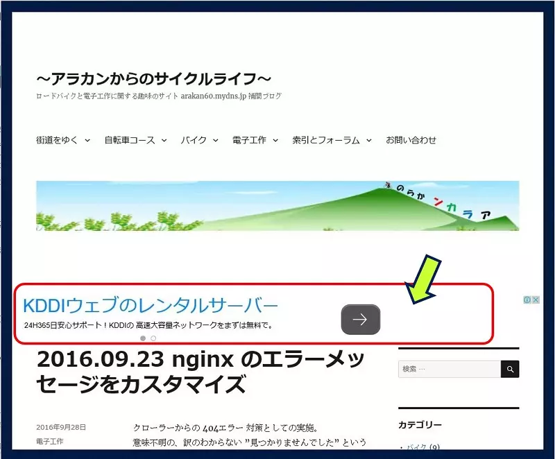 adsense2231