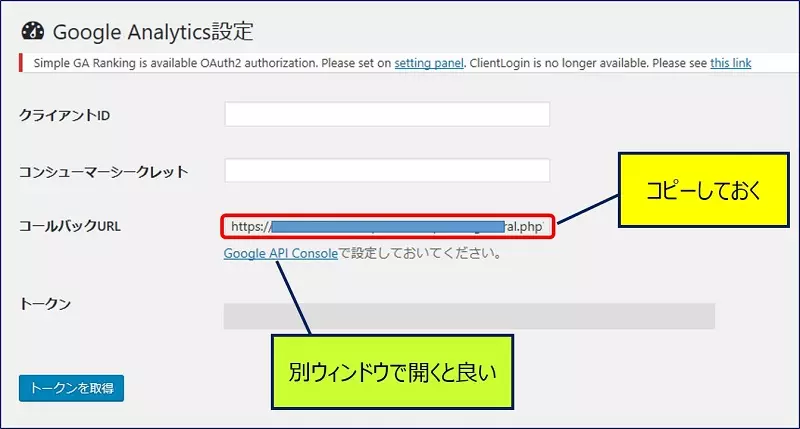 「Google API Console」をクリックする