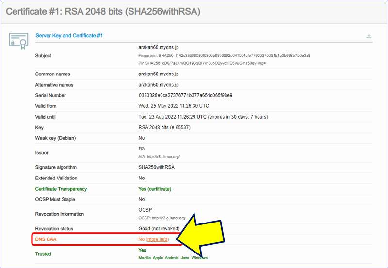 Server Key and Certificate #1の「DNS CAA」が赤文字で「No」になっている