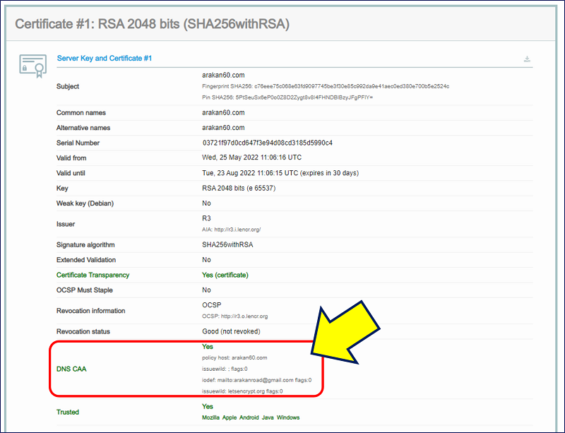 Server Key and Certificate #1の「DNS CAA」が、緑色で「Yes」になった