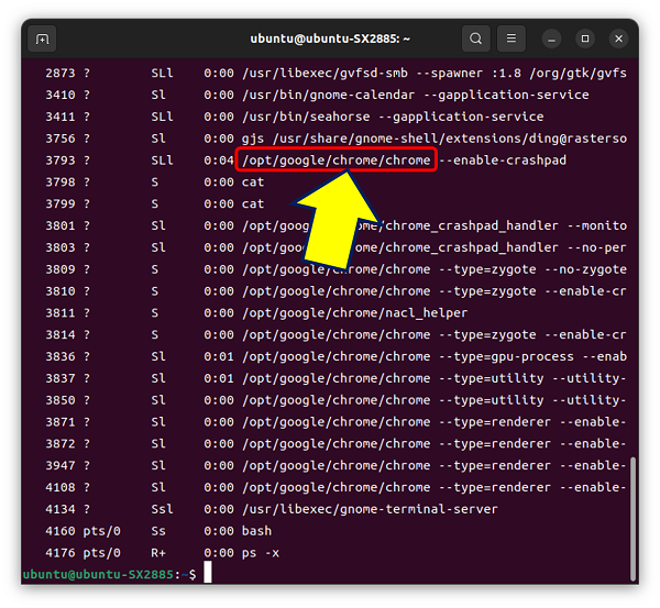 「端末」アプリで【ps -ｘ】と入力して「Enter]」キーを押す