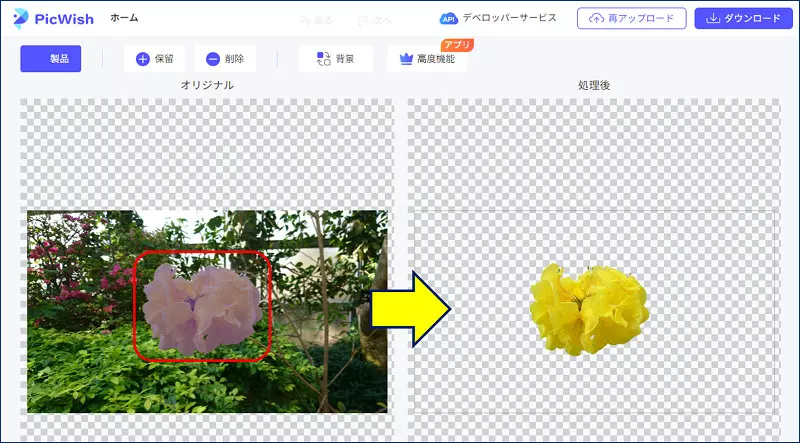 画像をアップロードするや否や、対象画像が自動で切り抜かれる