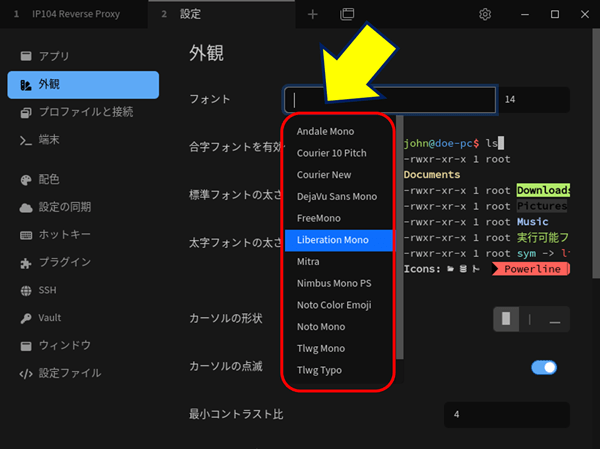 UbuntuのTabbyでは、「外観」で設定できるフォントが限られているので、「Fira Code」を追加してみる