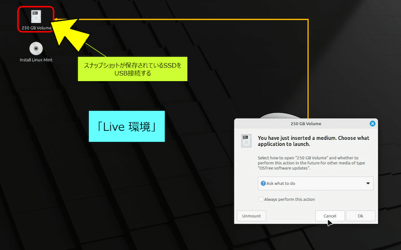 スナップショットが保存されているSSDをUSBに接続し、マウントする