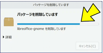 パッケージの削除が実行される